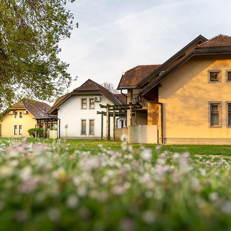 Terme Banovci - Hotelsko Naselje Zeleni Gaj Zewnętrze zdjęcie