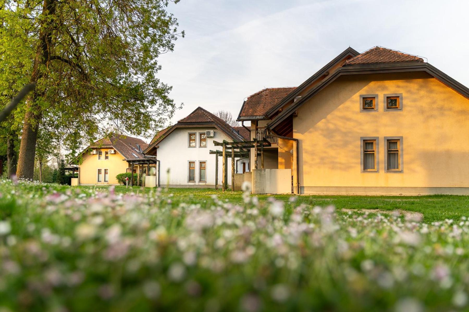 Terme Banovci - Hotelsko Naselje Zeleni Gaj Zewnętrze zdjęcie